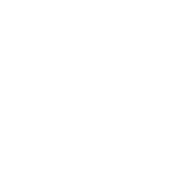 Nexus Logo